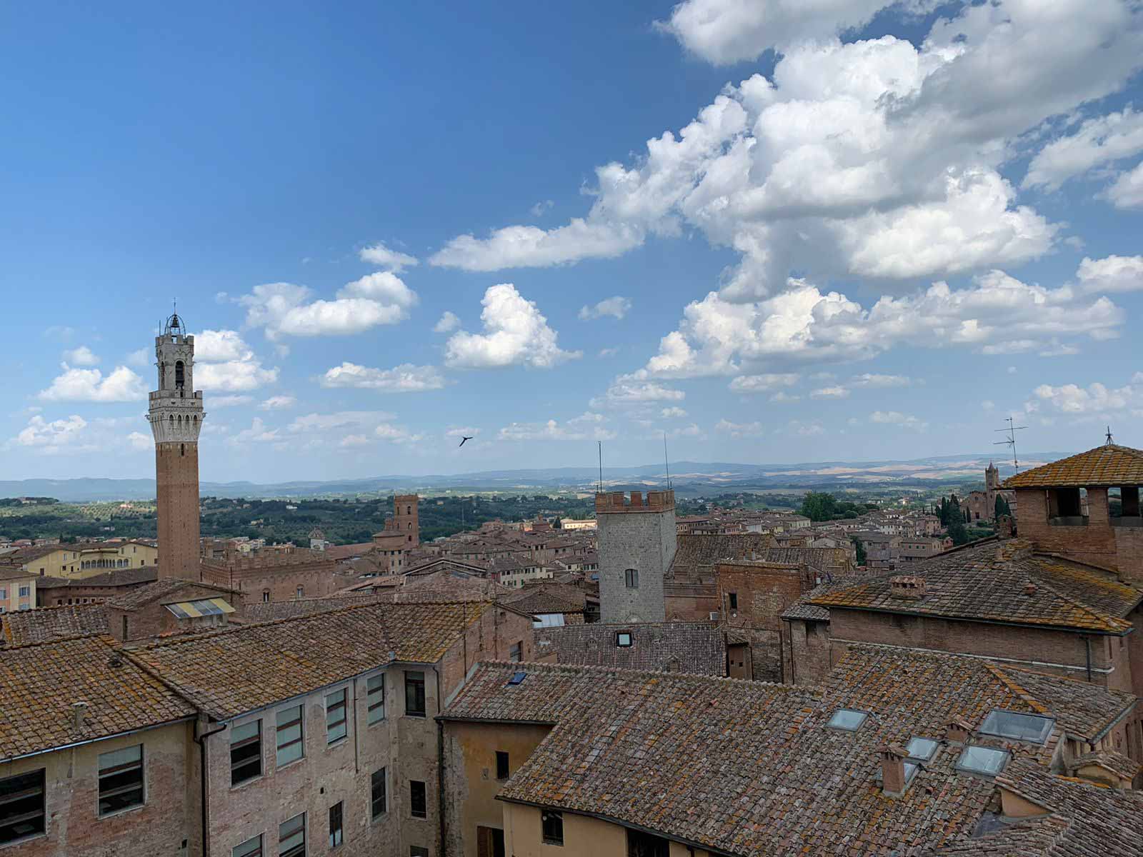 Siena 1